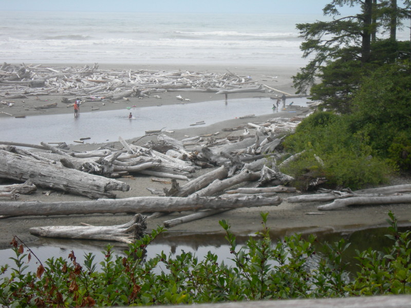Kalaloch